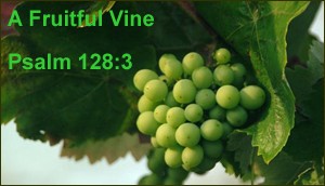 Are our lives examples of fruitful vines?